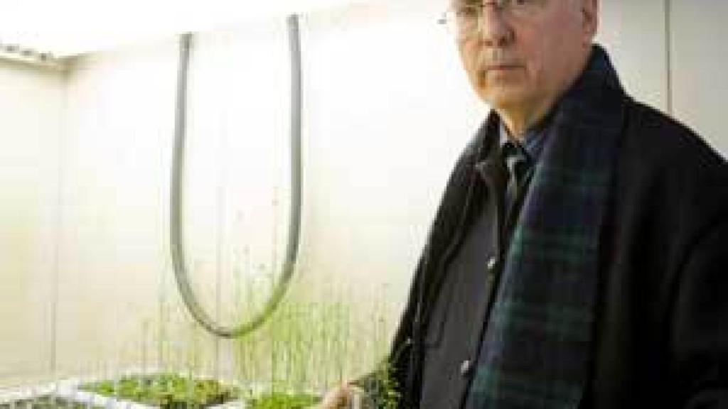 Image: Francisco García Olmedo