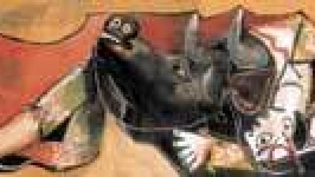 Image: A la caza del amor