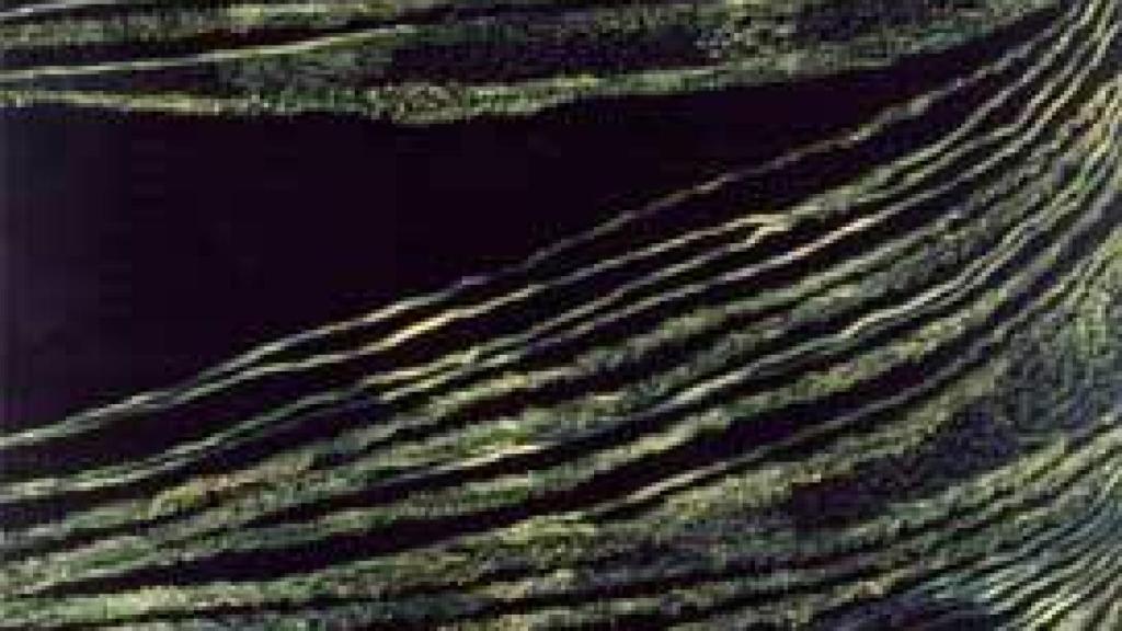 Image: Silencioso Javier Riera