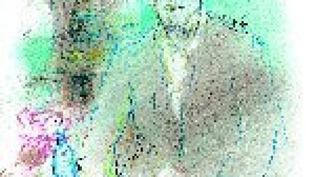 Image: Álvaro Cunqueiro