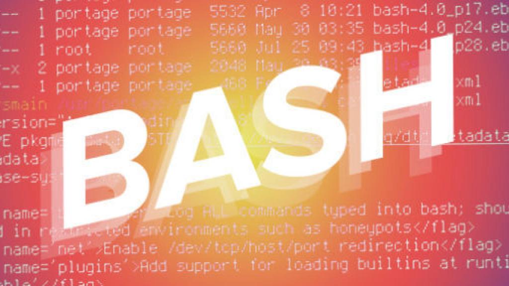 bash shellshoc