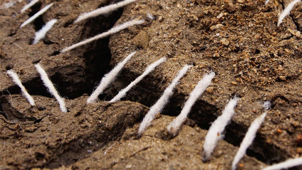 Imagen | La cultura de la crisis climática