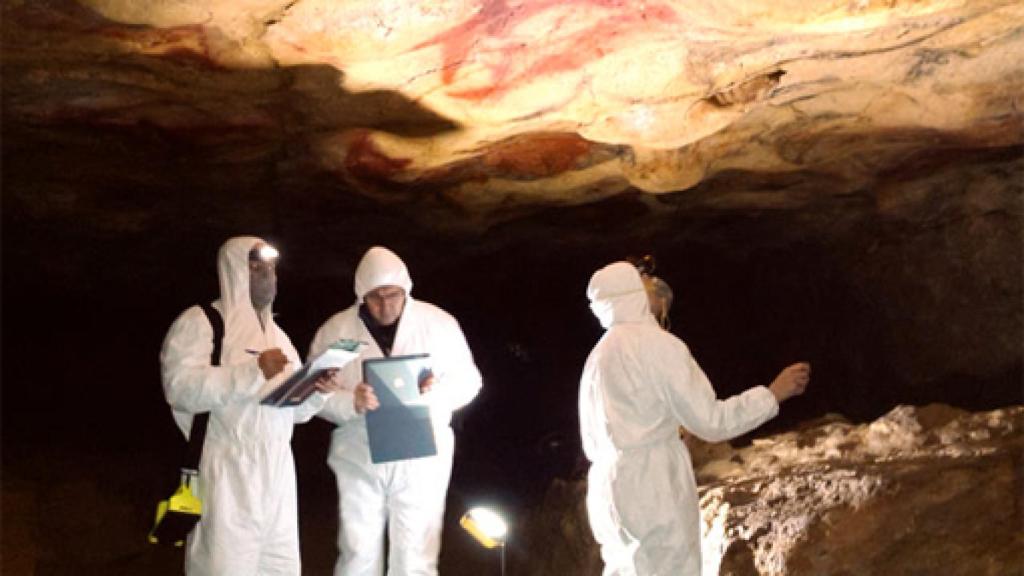 Image: La cueva de Altamira se reabre al público de forma experimental después de 12 años