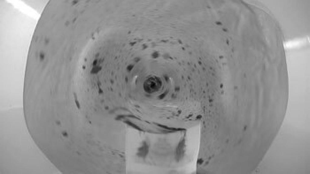 Image: Los testigos de Óscar Muñoz