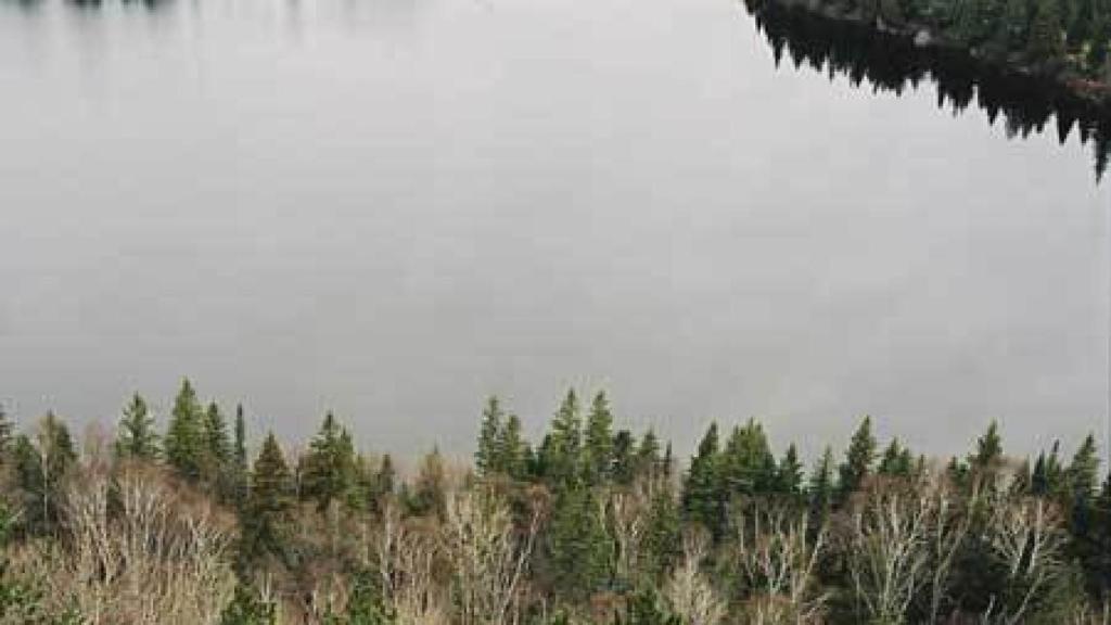 Image: Mark Lewis: Paisajes