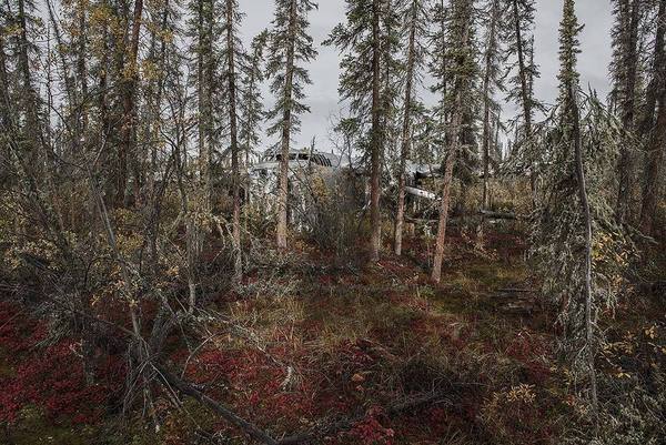 20130410221200-201209DSC_0115web1200