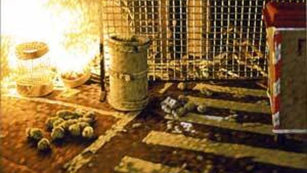 Image: Philipp Fröhlich, la dramatización del ocaso