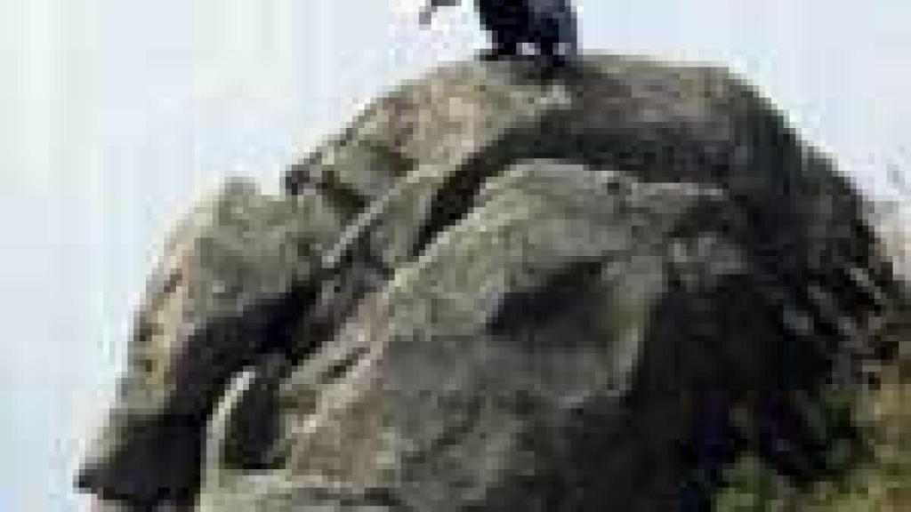 Image: Festival de Cannes 2005