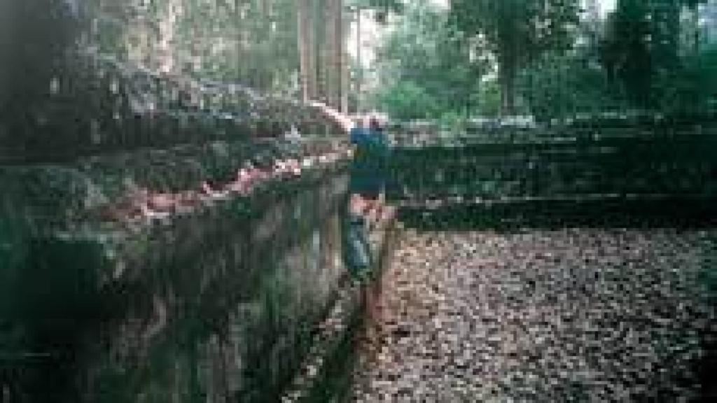 Image: Wurm y la escultura efímera