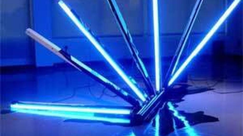 Image: La normalidad llega a Arco