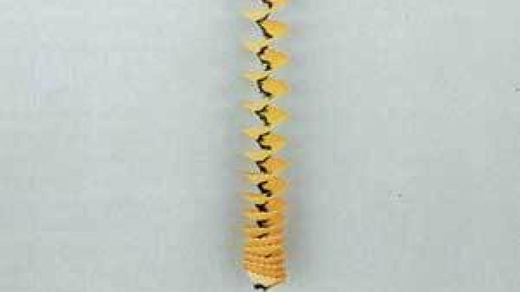 Image: ¿Cómo pasan agosto los escritores?