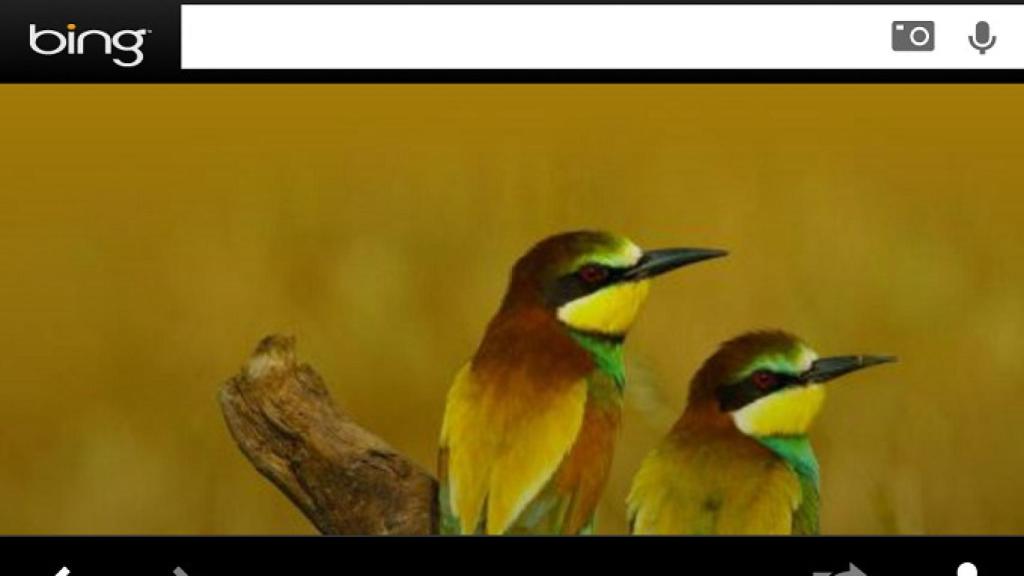 bing-maps-ios-01