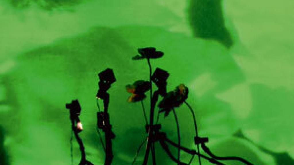 Image: Manglano-Ovalle. Ver en la oscuridad