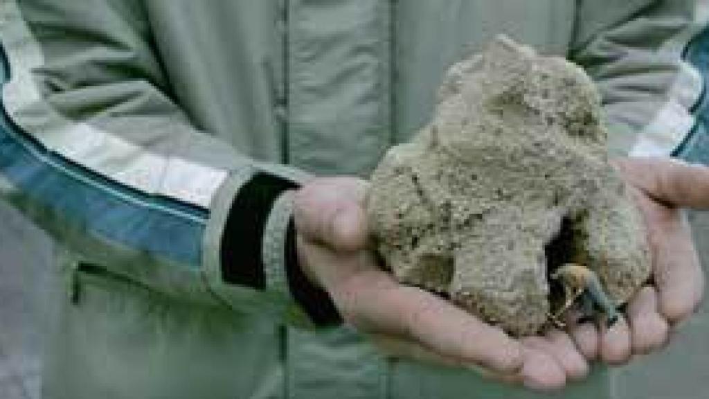 Image: Metáforas de Javier Vallhonrat