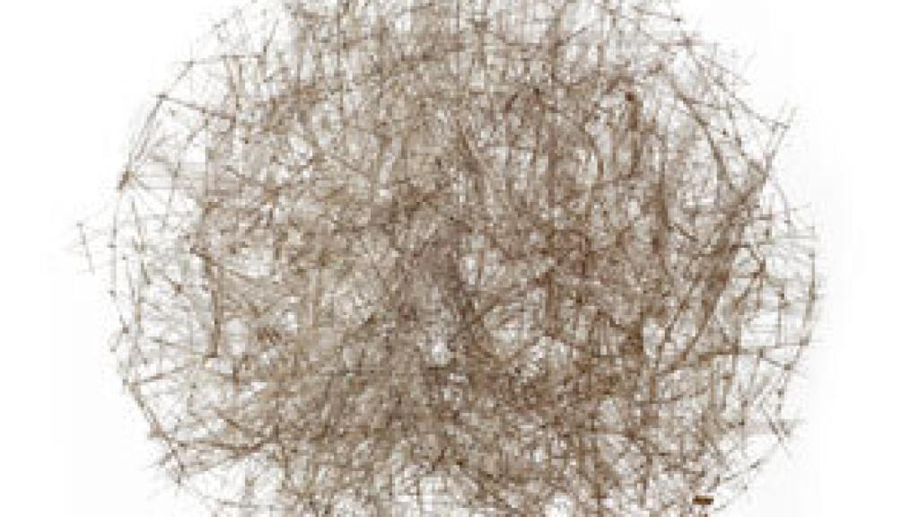 Image: Juntos, no revueltos