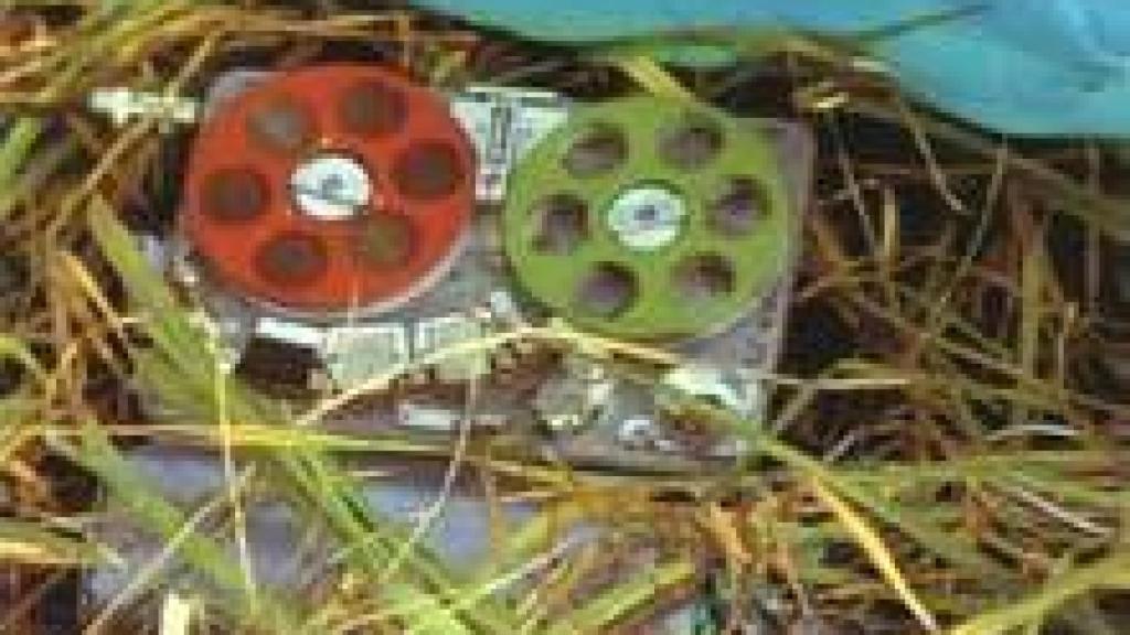 Image: Steve McQueen