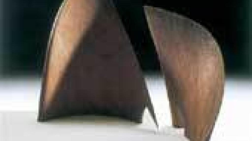 Image: José Ramón Anda