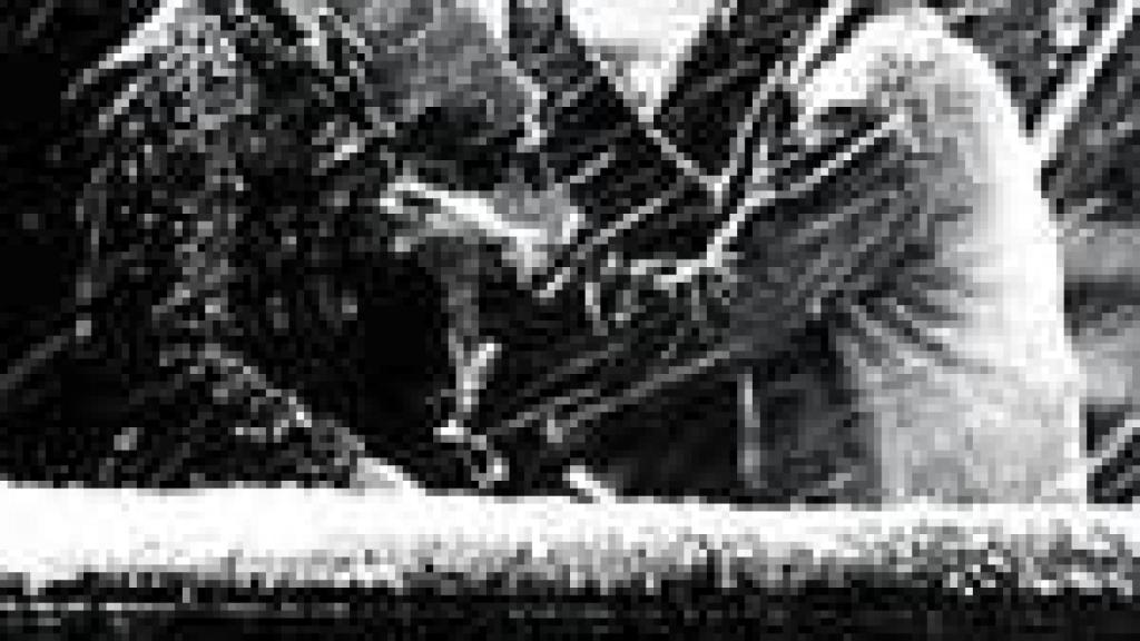 Image: ¡Qué bello es vivir!