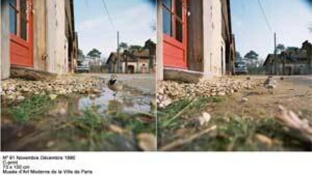 Image: Jean-Luc Mylayne, cuando los pájaros se detienen