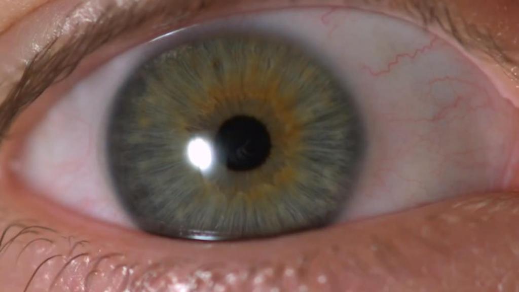 iris-camara-ultra-lenta