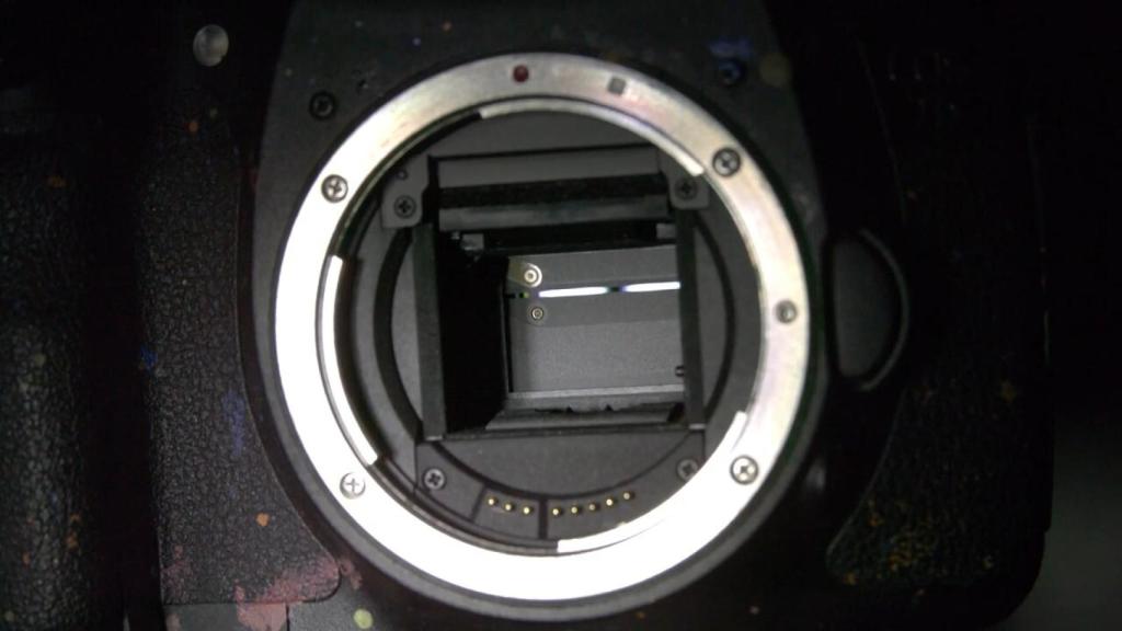 Las cámaras DSLR siguen siendo imprecindibles para profesionales y entusiastas