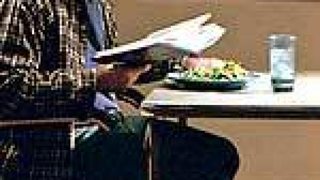 Image: ‘Adaptation’, Flores bajo el asfalto