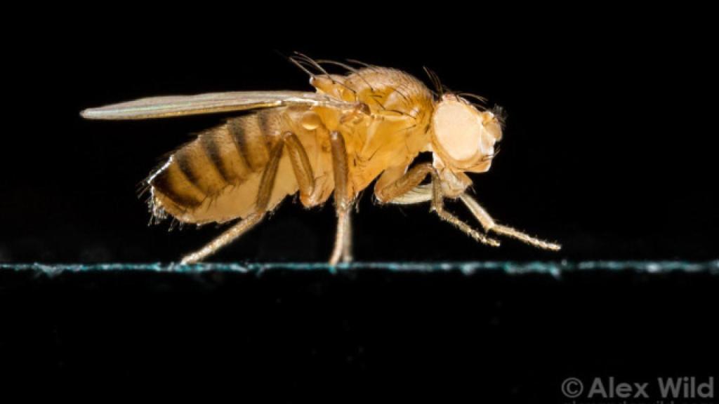 hjz3uig4dhsgpte0gttf