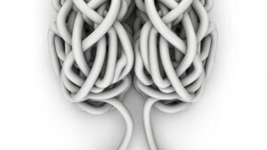 Image: Incógnito. Las vidas secretas del cerebro