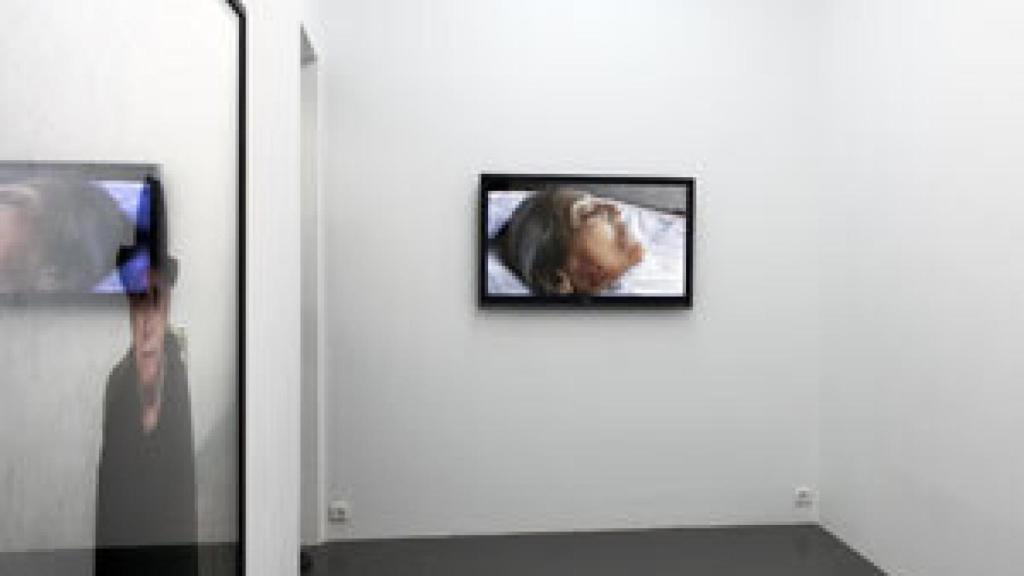 Image: Javier Codesal, tiempo de progenitores