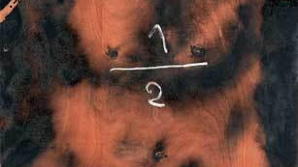 Antoni Tàpies: '1/2', 2003