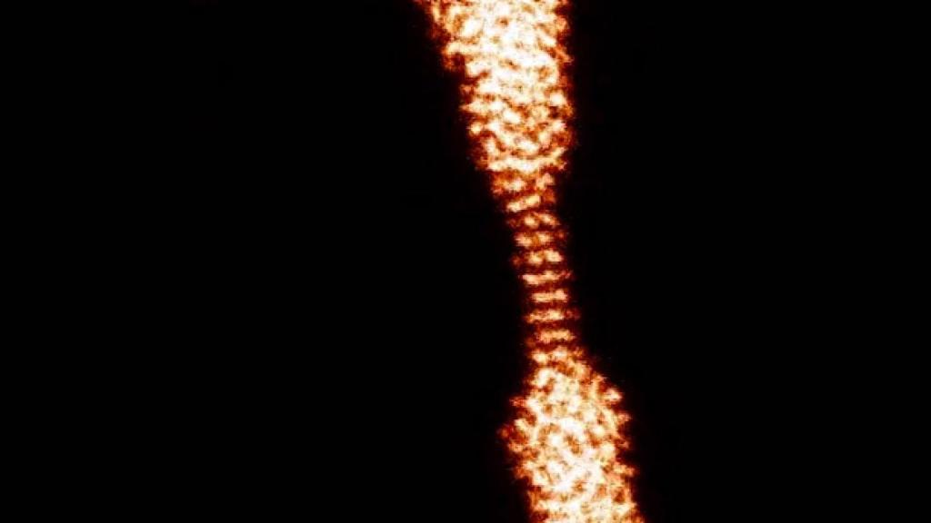 nanocable