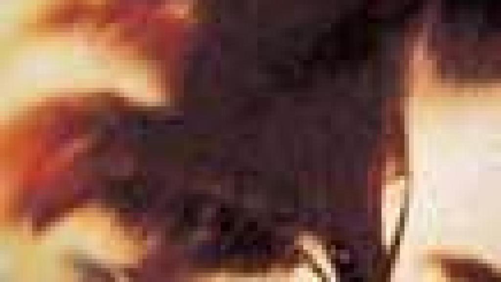 Image: Las palmeras salvajes