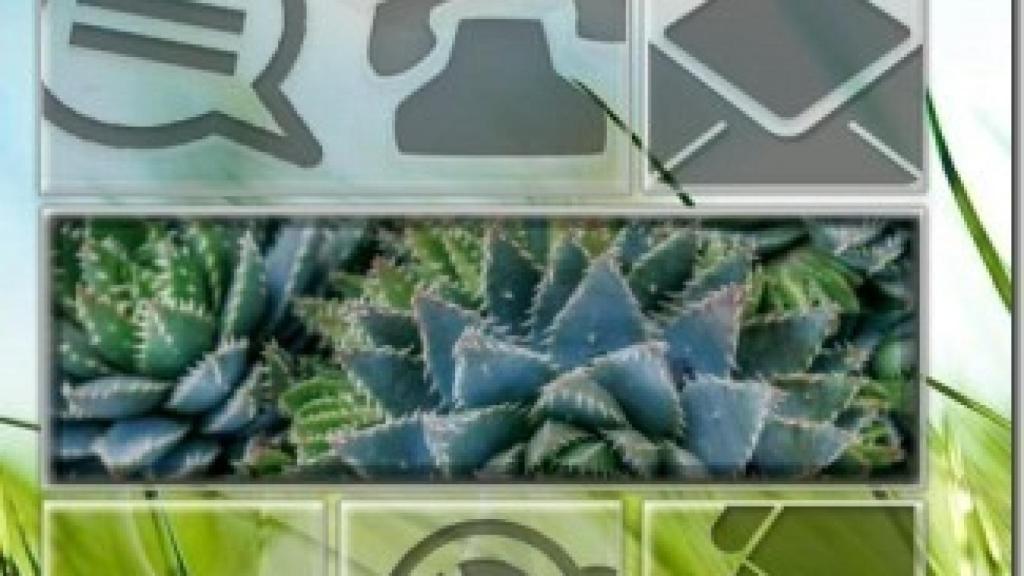 Los LiveWallpapers más útiles y funcionales