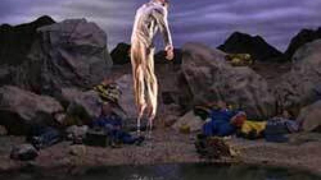 Image: Bill Viola