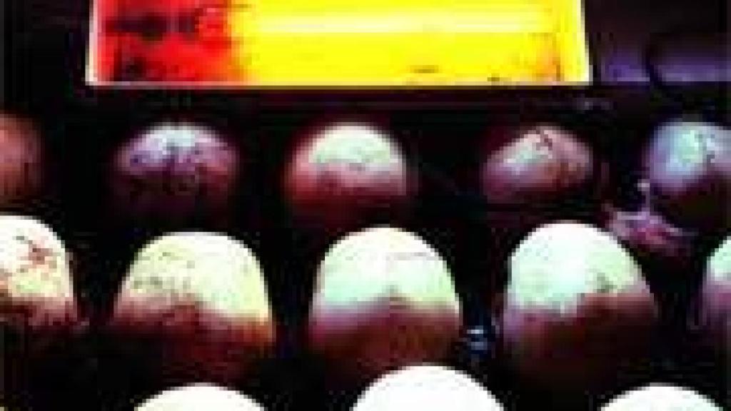 Image: Las naturalezas de Rio Branco