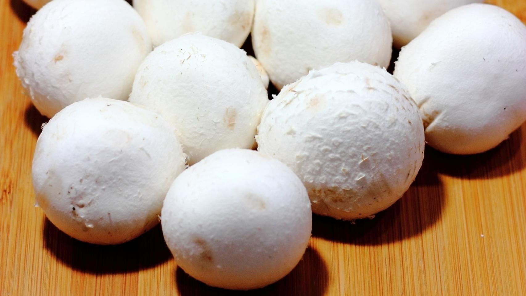 Conservar champiñones