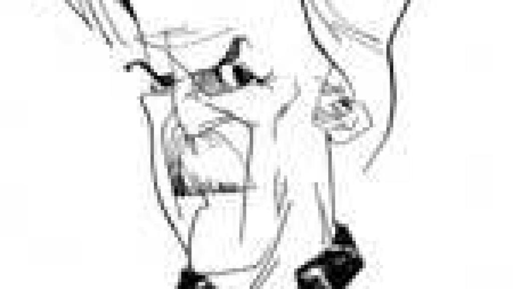 Image: Federico Luppi