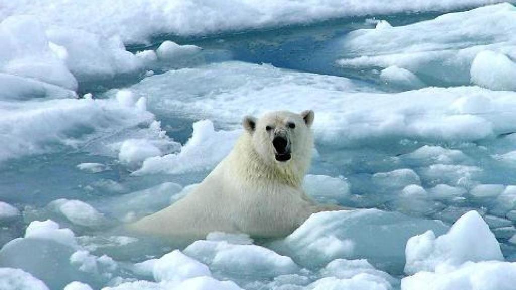 calentamiento-global