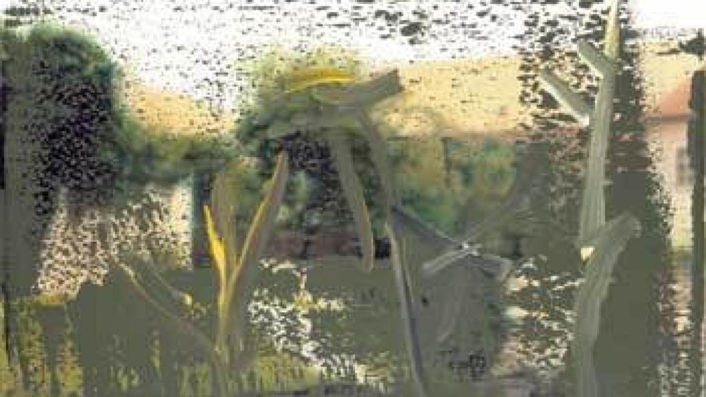 Image: Gerhard Richter