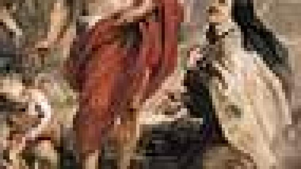 Image: Los tesoros de Amberes