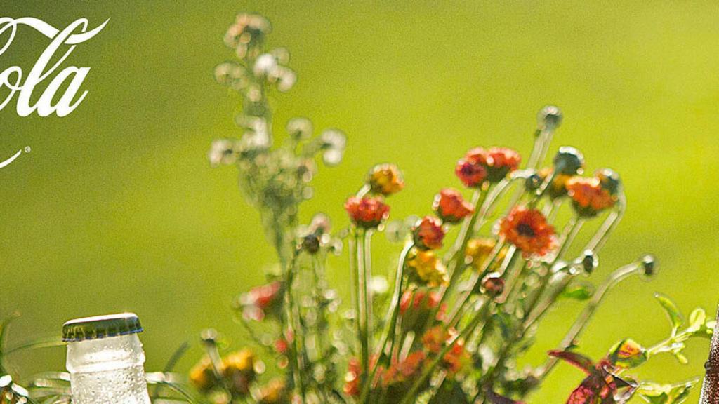 coca-cola-life-00
