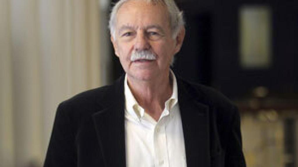 Image: Riña de gatos