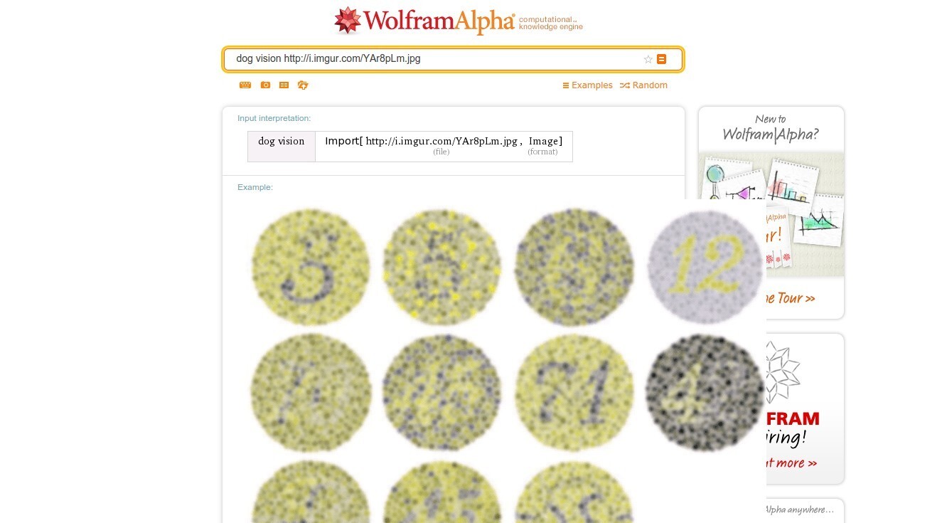 wolfram alpha perro