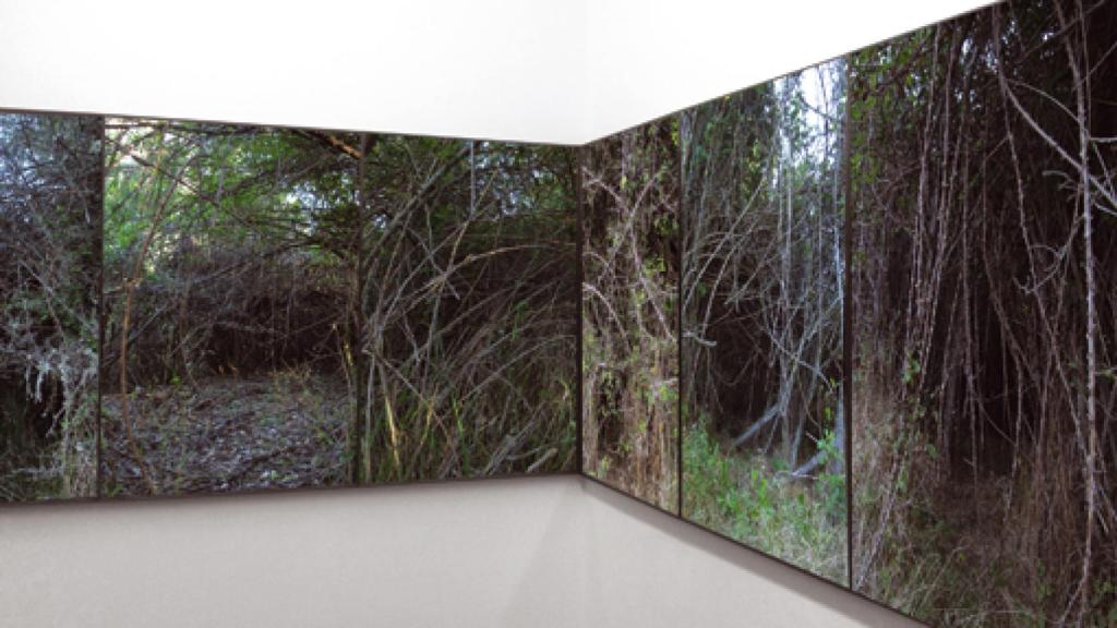 Image: Álvaro Perdices en terreno baldío