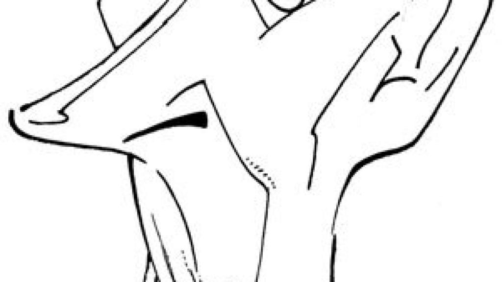 Image: Ángel Pavlovsky