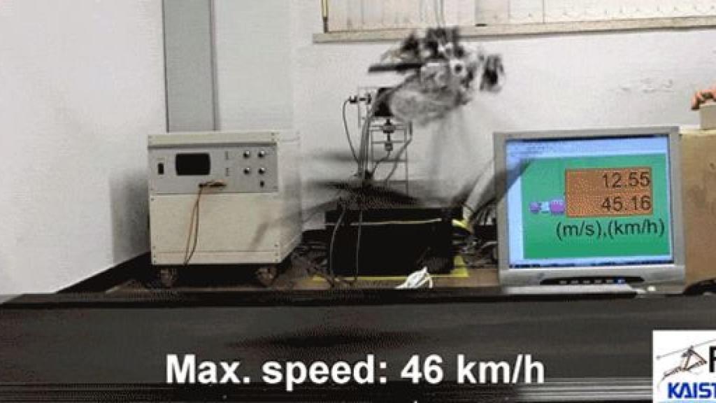 ukgeasy2zwncncdcsghr