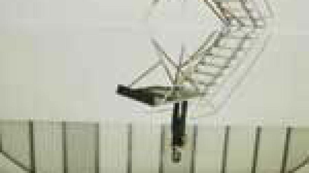 Image: At Your Own Risk