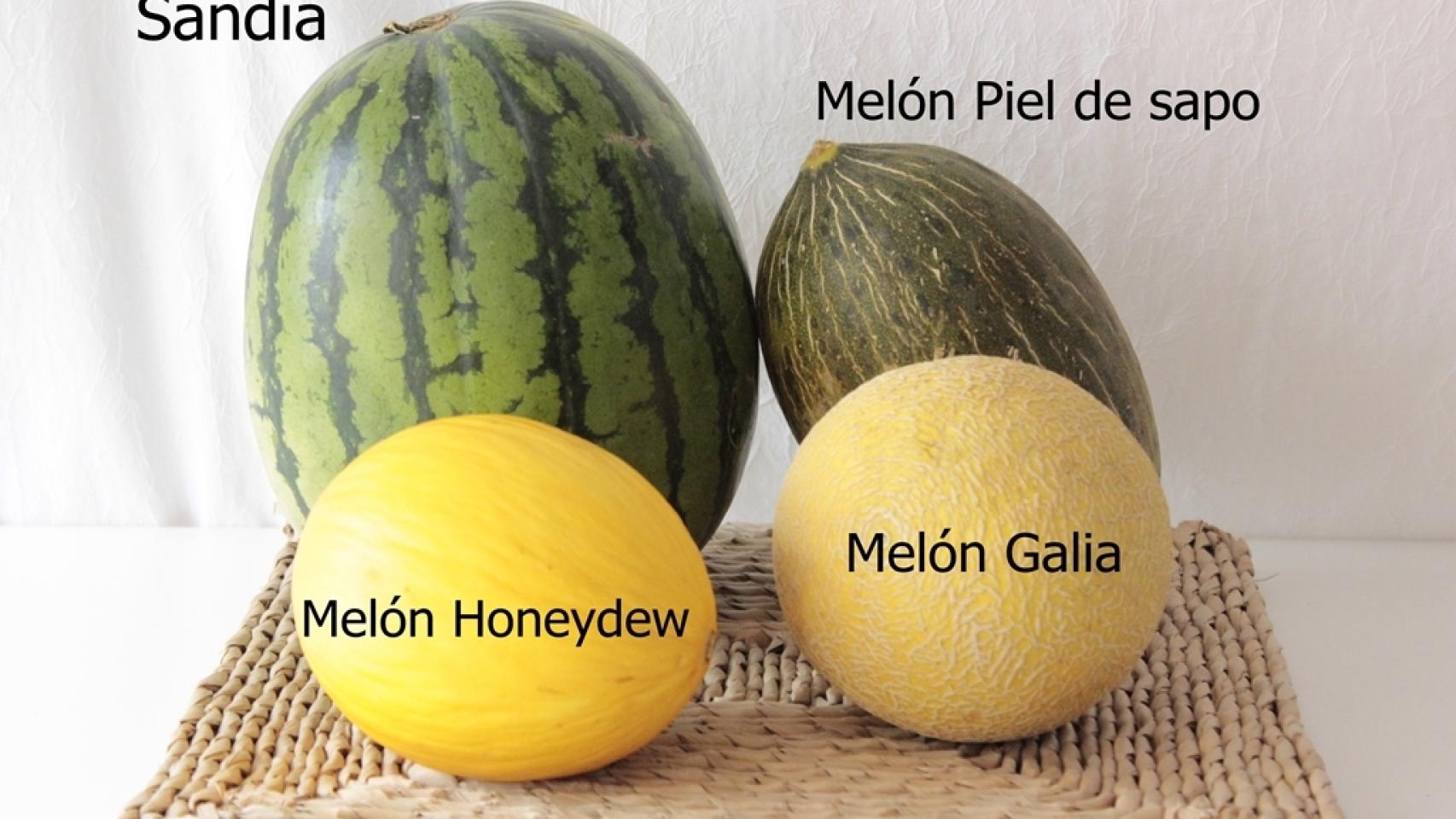 ElegirMelones_02