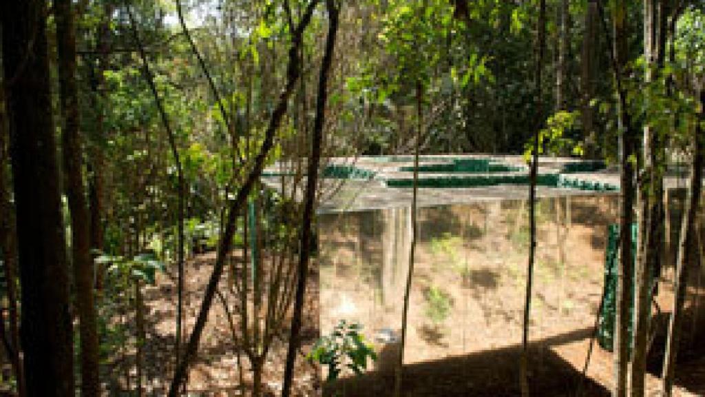 Image: Inhotim, el edén tropical