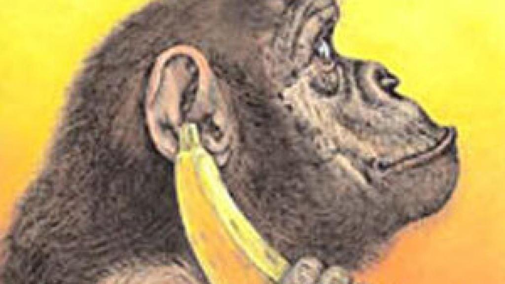 Image: El gran libro de los animales